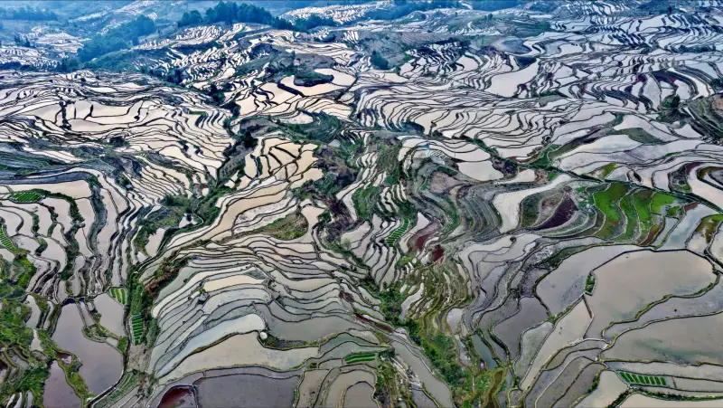 扬州商贸企业日用百货供应链数字化转型趋势分析