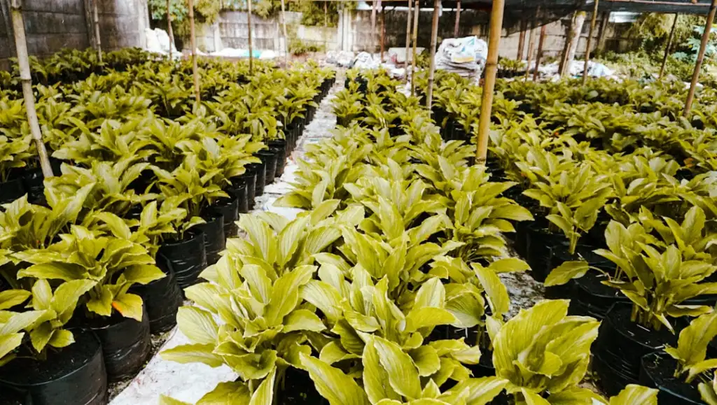 扬州顺森商贸：苏中地区商超家居用品一站式采购方案解析